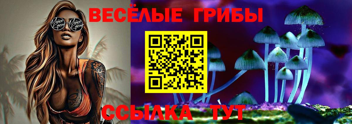 Псилоцибиновые грибы мицелий Видное