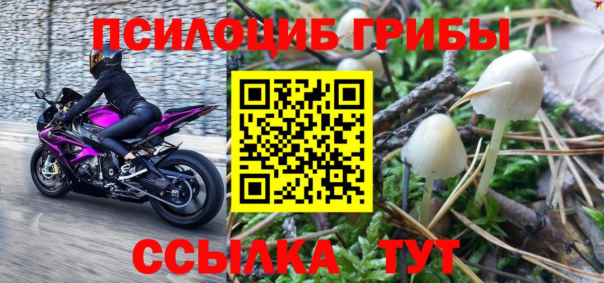 Видное  Галлюциногенные грибы мухоморы  Вход с VPN 